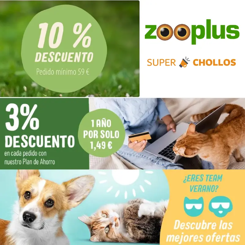 Selección de calzado por menos de 10€ en Primeriti