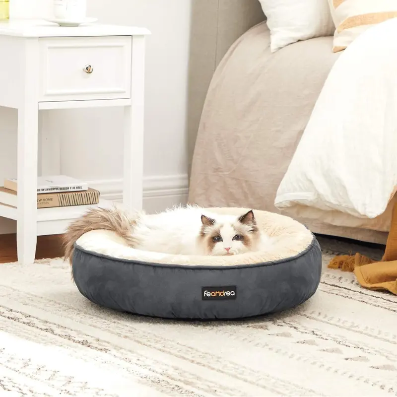 Juego de mesa Jumanji