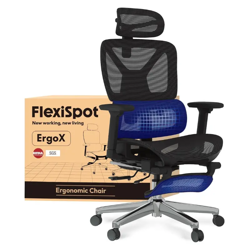 Silla de Oficina FLEXISPOT ErgoX [OFERTA]