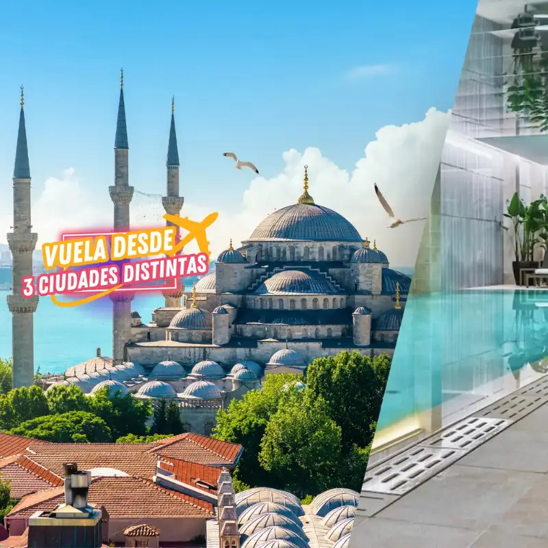 Pack x5 Calcetines de fibra de bambú [OFERTA]