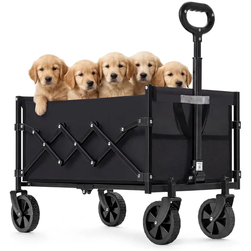 Carro de Mano Plegable Songmics 180 kg [OFERTA]